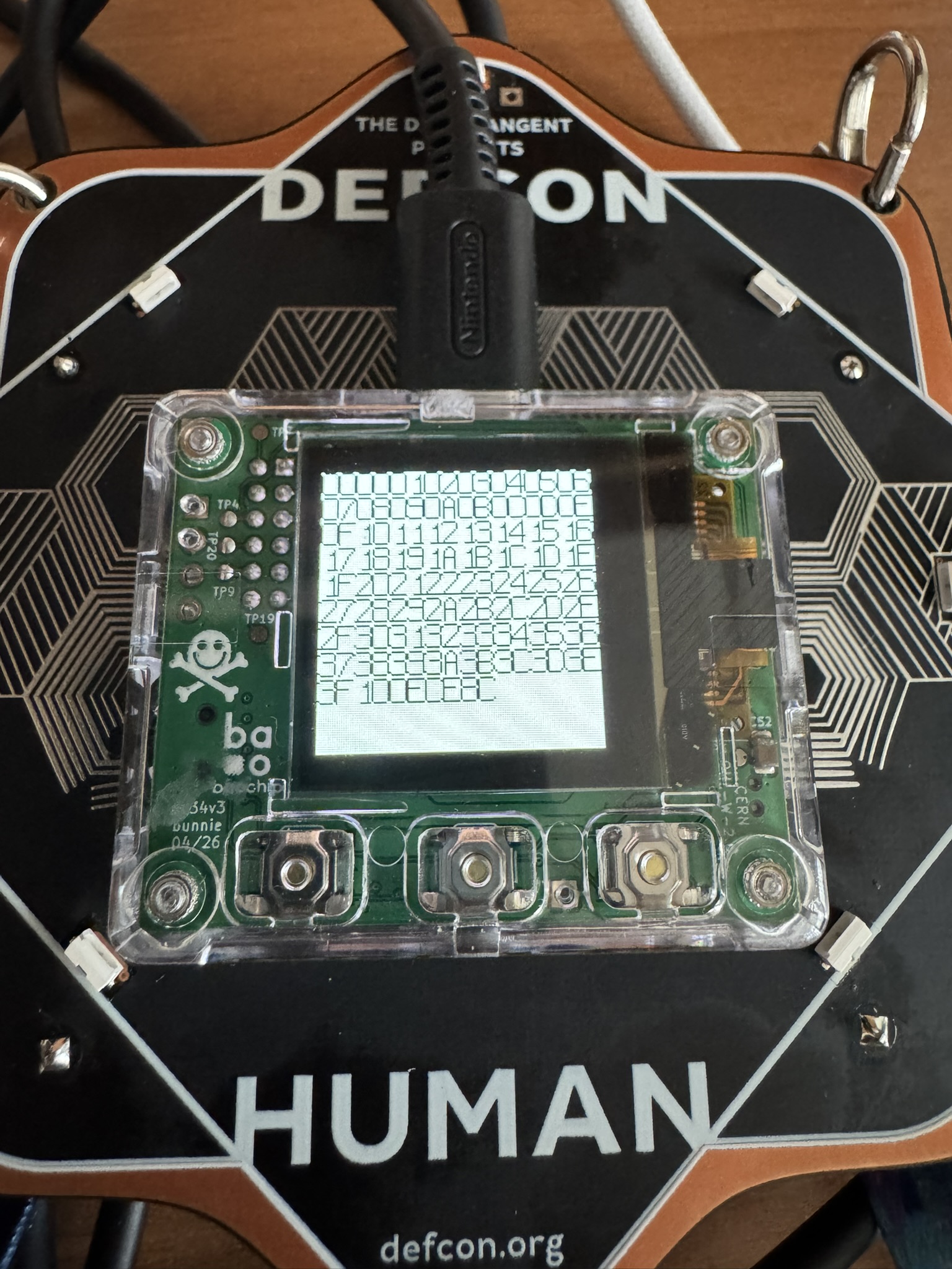 Execution Achieved! Data being written to the OLED screen